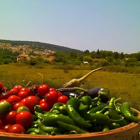 Ettore 펜션 Gardeládes