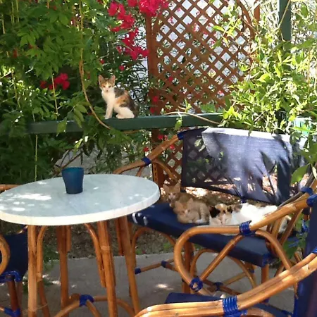 Ettore 펜션 Gardeládes